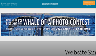 pacificwhale.org Screenshot