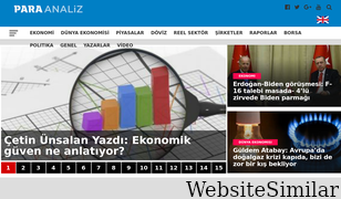 paraanaliz.com Screenshot