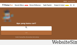 petpintar.com Screenshot