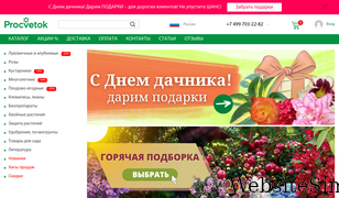 procvetok.ru Screenshot