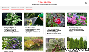 proklumbu.com Screenshot
