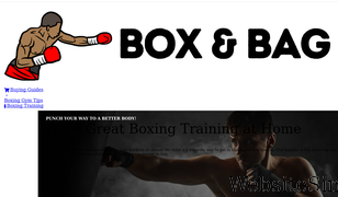 punchingbagsguide.com Screenshot