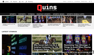 quins.us Screenshot