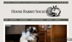 rabbit.org Screenshot