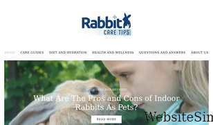 rabbitcaretips.com Screenshot
