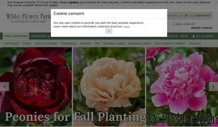 whiteflowerfarm.com Screenshot