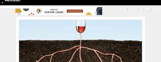 winemag.com Screenshot